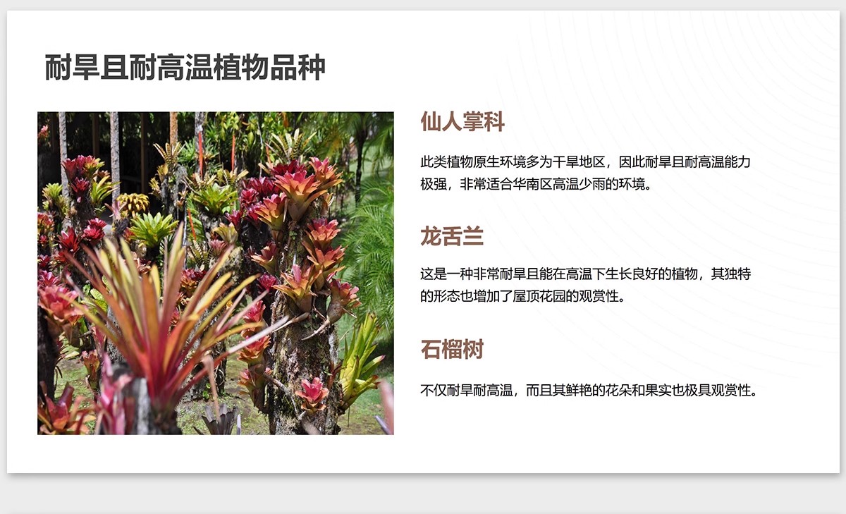 图片[12]-植物花镜搭配美学PPT设计方案文本植被分析景观植物标准化与应用-大怪兽分享