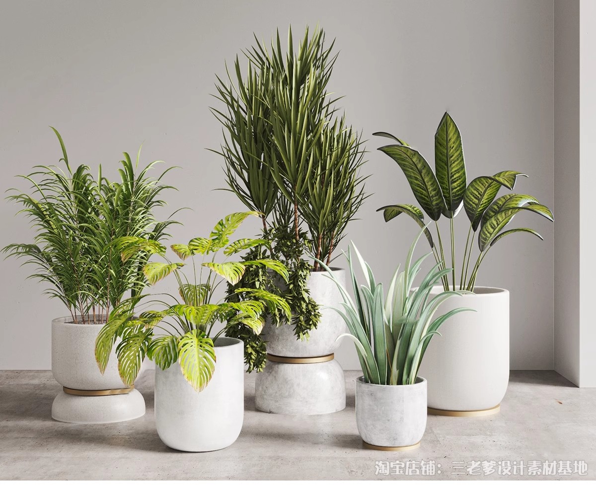 图片[12]-花架盆栽装饰架su模型花卉绿植室内阳台造景架子摆件植物草图大师-大怪兽分享