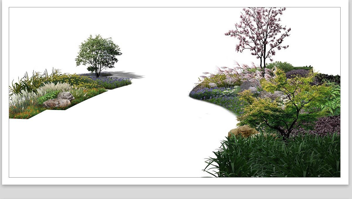 图片[13]-景观园林ps公园花园庭院绿化花境植物组团花镜组合设计psd素材-大怪兽分享