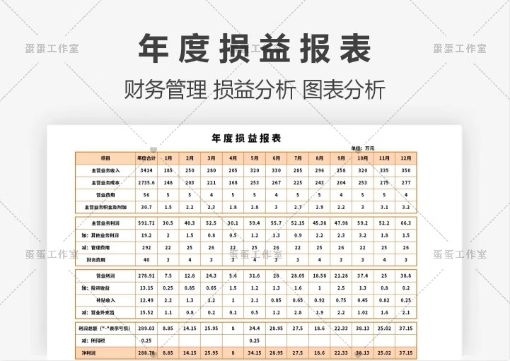 图片[10]-公司损益表明细统计汇总分析比较清算餐饮年度预算负债excel模板-大怪兽分享