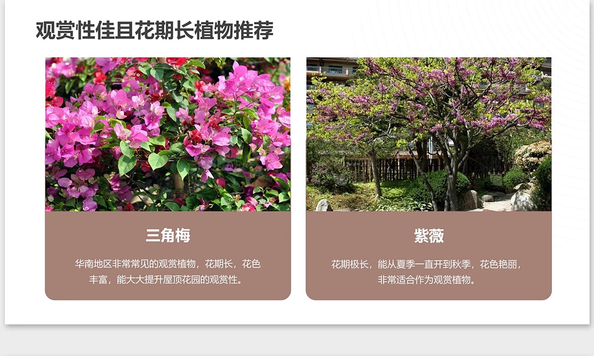 图片[14]-植物花镜搭配美学PPT设计方案文本植被分析景观植物标准化与应用-大怪兽分享