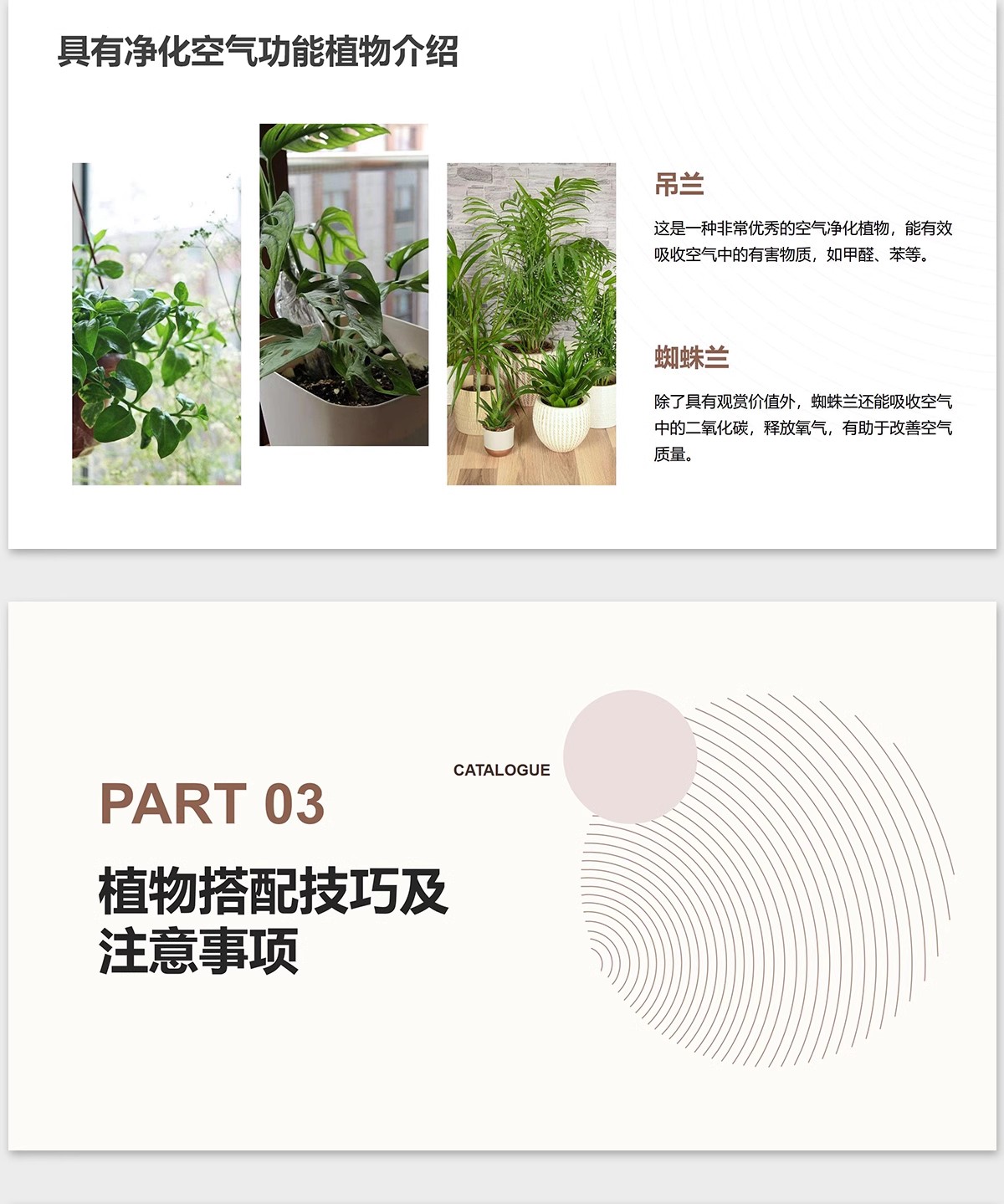 图片[15]-植物花镜搭配美学PPT设计方案文本植被分析景观植物标准化与应用-大怪兽分享