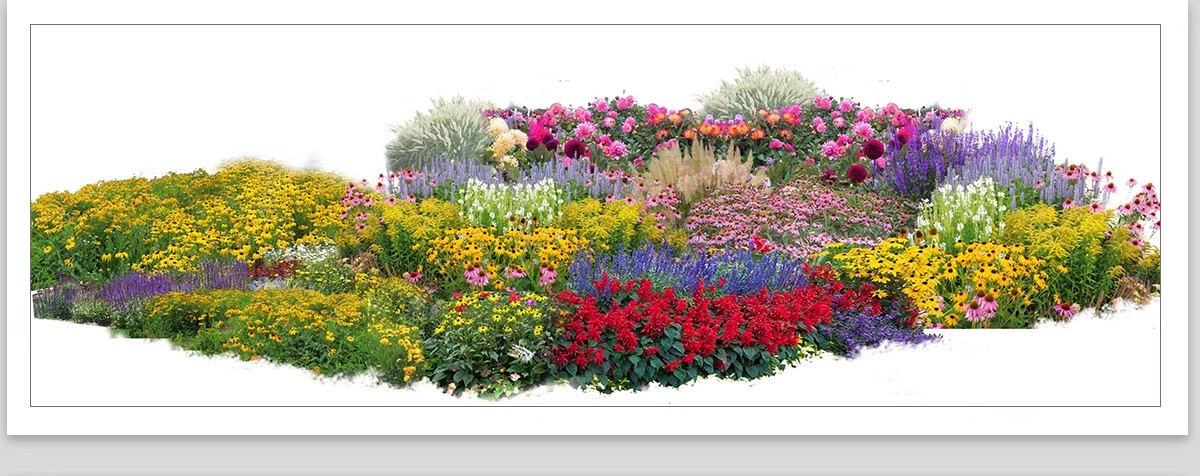 图片[17]-景观园林ps公园花园庭院绿化花境植物组团花镜组合设计psd素材-大怪兽分享