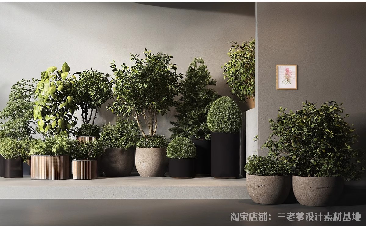 图片[17]-花架盆栽装饰架su模型花卉绿植室内阳台造景架子摆件植物草图大师-大怪兽分享