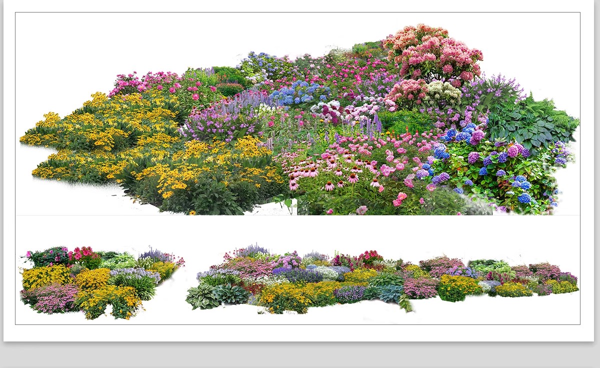 图片[18]-景观园林ps公园花园庭院绿化花境植物组团花镜组合设计psd素材-大怪兽分享