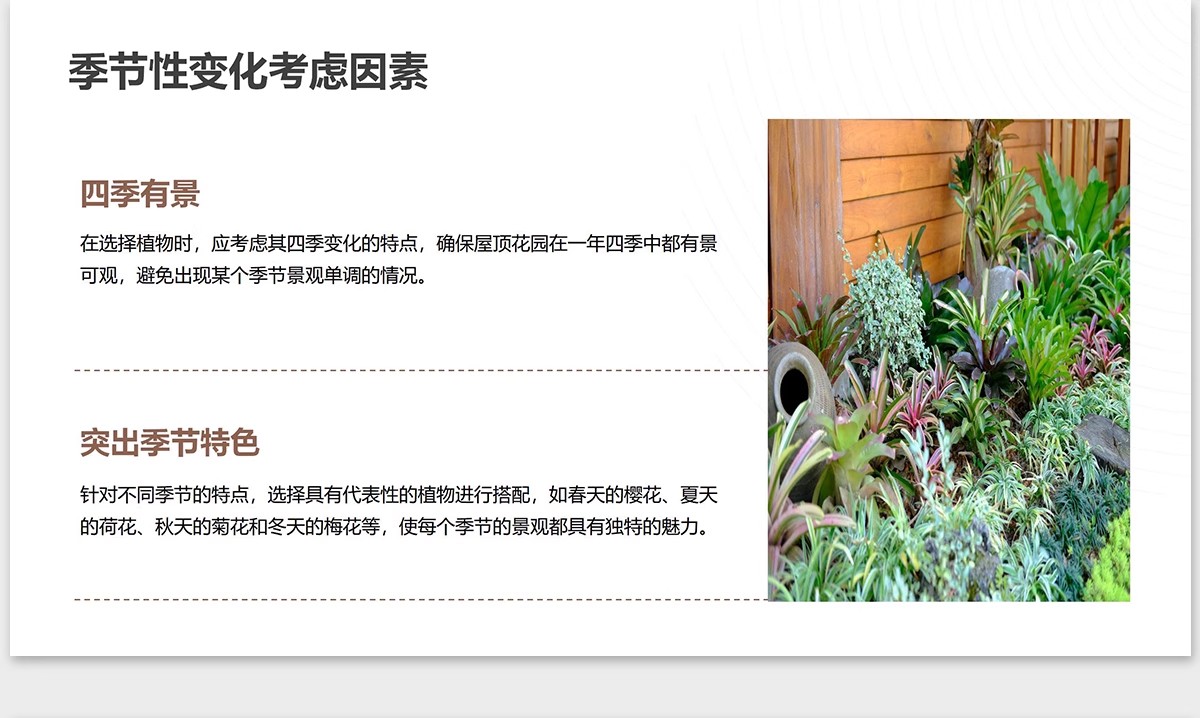 图片[18]-植物花镜搭配美学PPT设计方案文本植被分析景观植物标准化与应用-大怪兽分享