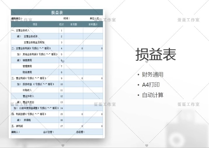 图片[16]-公司损益表明细统计汇总分析比较清算餐饮年度预算负债excel模板-大怪兽分享