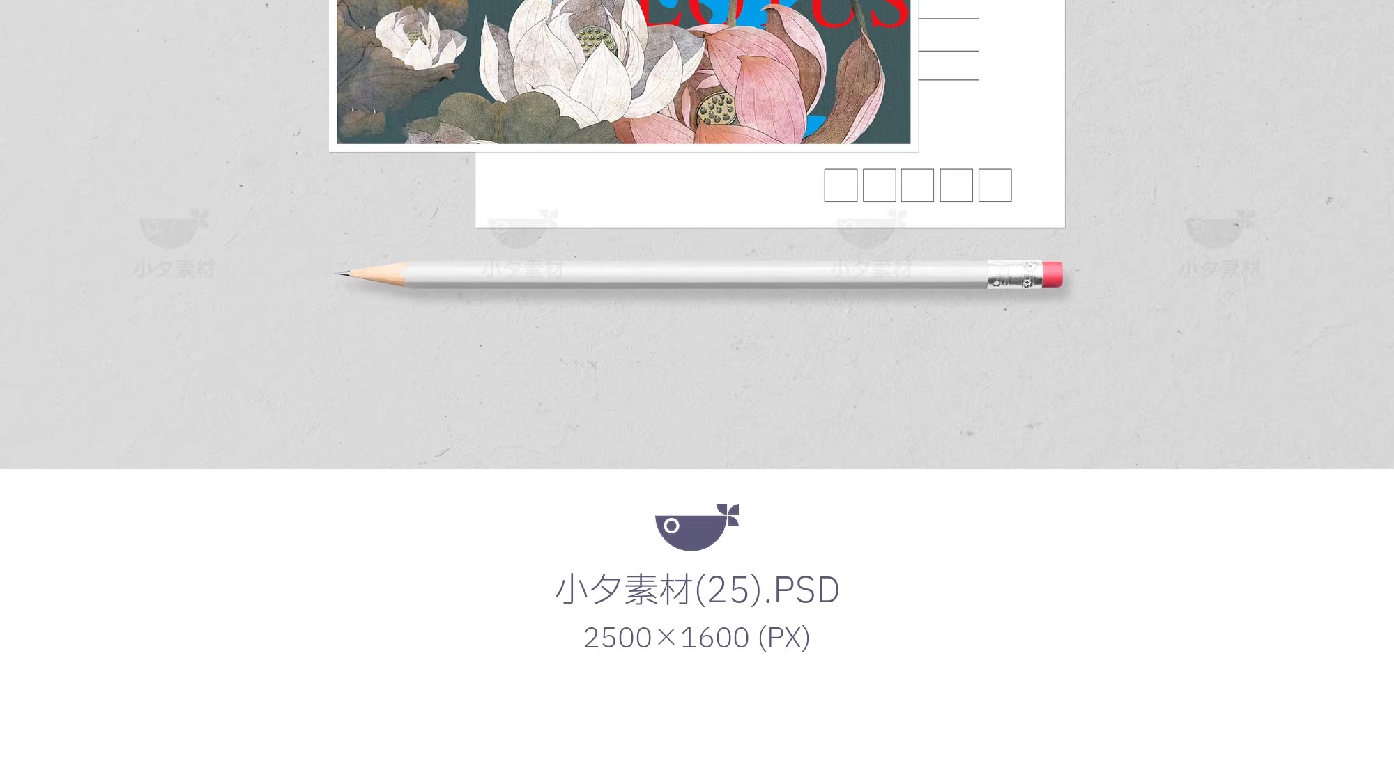 图片[19]-明信片卡片邀请函贺卡vi提案展示效果智能贴图文创VI样机psd素材-大怪兽分享