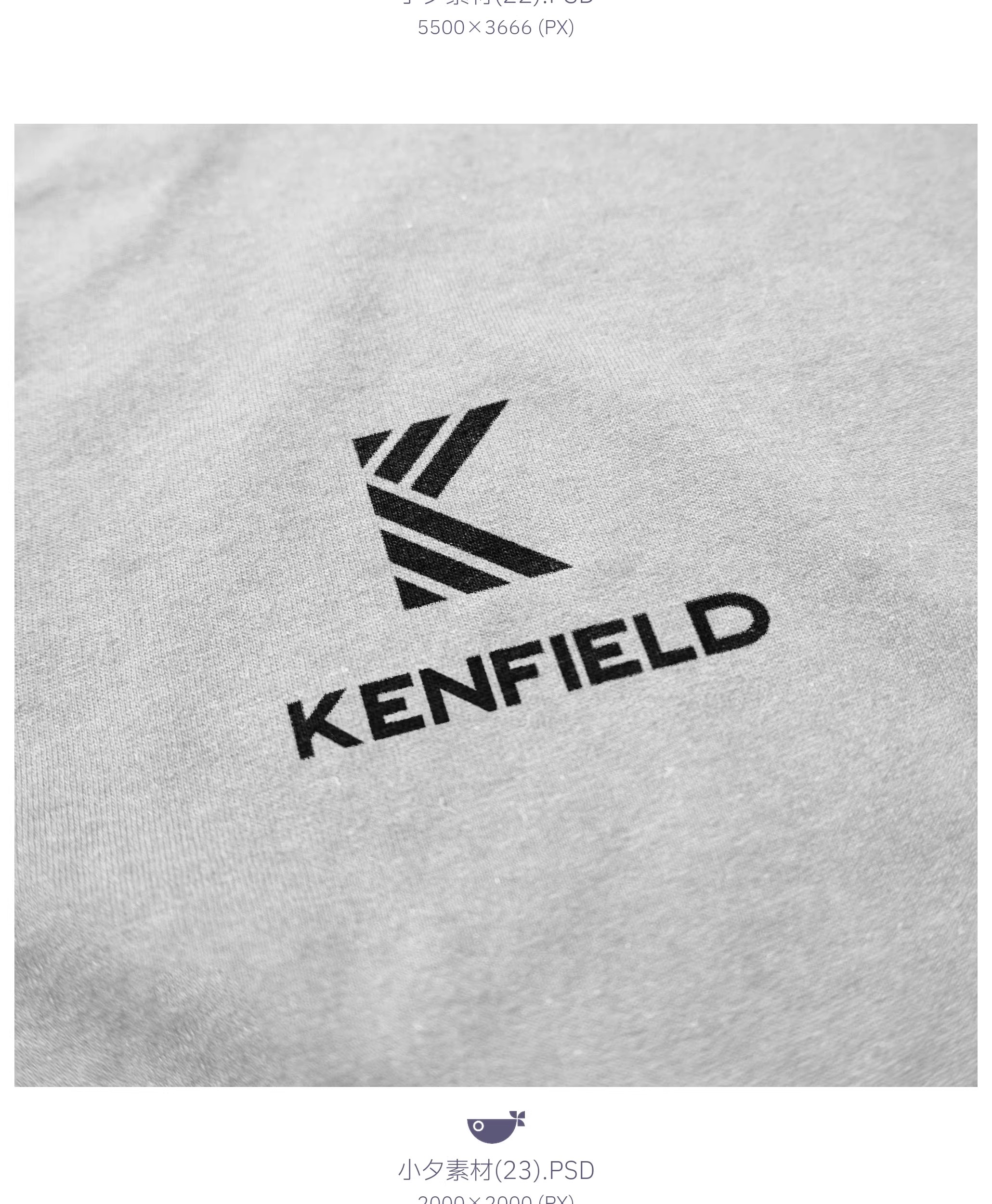 图片[20]-37套 服装品牌吊牌包装品牌全案文创样机模板PSD设计素材-大怪兽分享