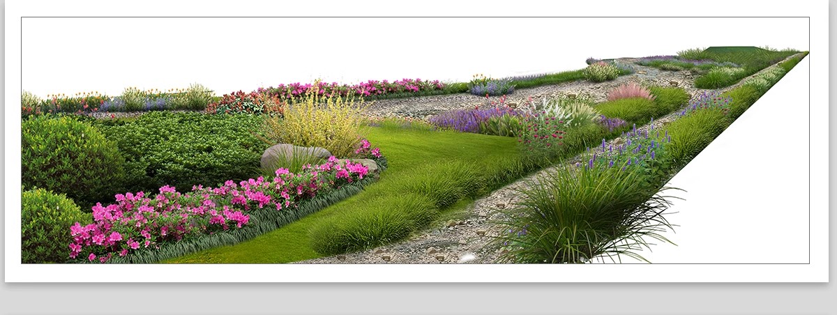 图片[21]-景观园林ps公园花园庭院绿化花境植物组团花镜组合设计psd素材-大怪兽分享