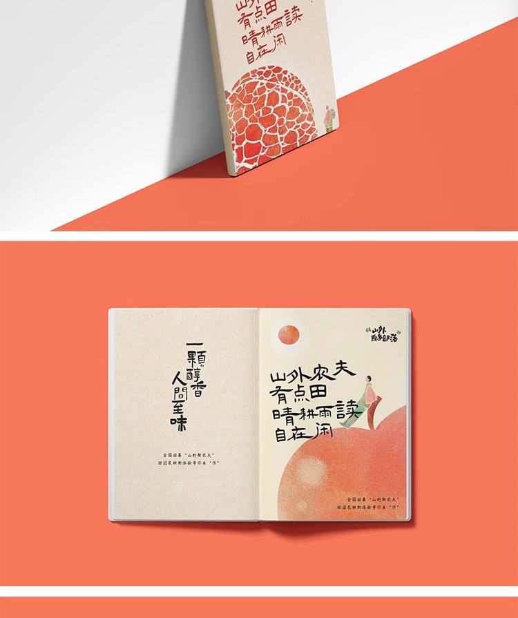 图片[5]-60款硬壳书籍杂志画册封面封皮内页效果展示贴图样机PSD设计素材-大怪兽分享