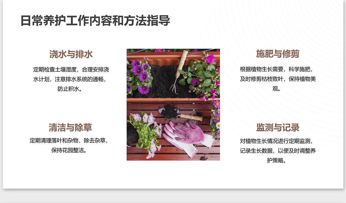 图片[22]-植物花镜搭配美学PPT设计方案文本植被分析景观植物标准化与应用-大怪兽分享
