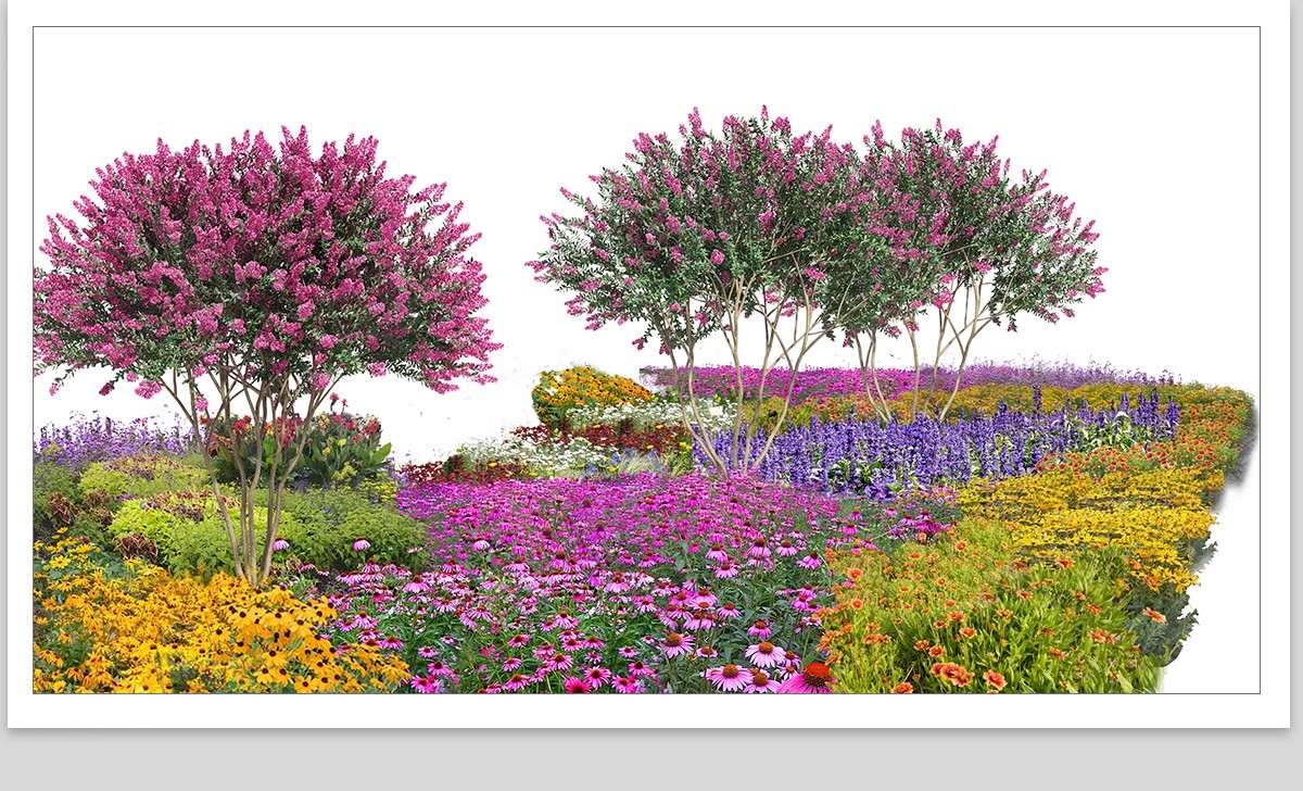 图片[23]-景观园林ps公园花园庭院绿化花境植物组团花镜组合设计psd素材-大怪兽分享
