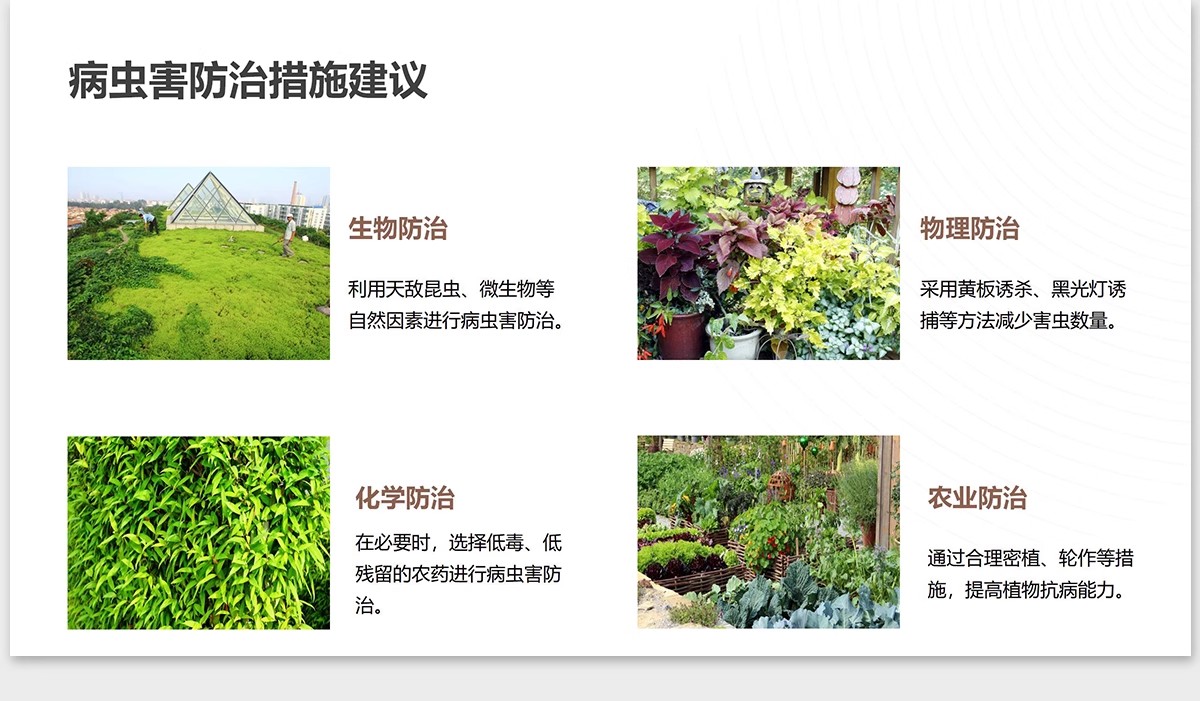 图片[23]-植物花镜搭配美学PPT设计方案文本植被分析景观植物标准化与应用-大怪兽分享