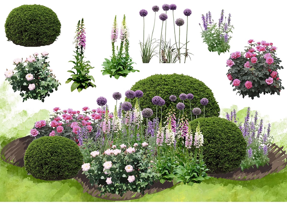 图片[26]-景观园林ps公园花园庭院绿化花境植物组团花镜组合设计psd素材-大怪兽分享