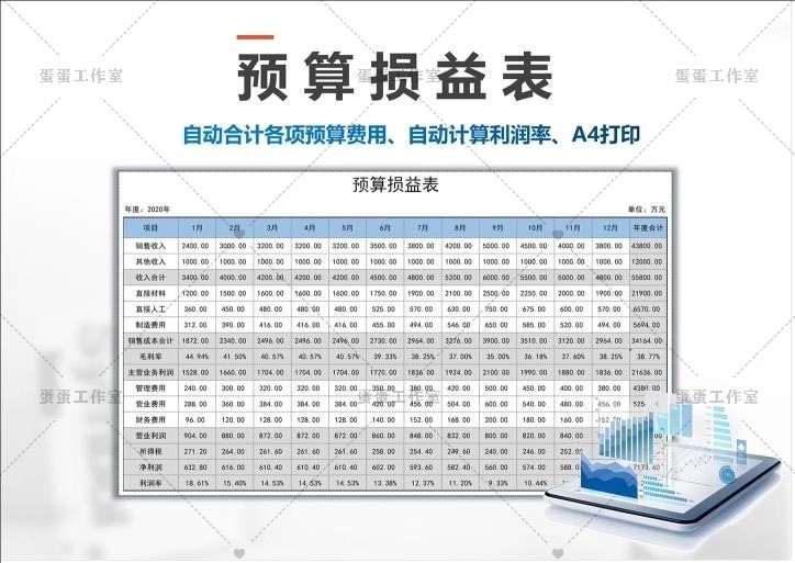 图片[24]-公司损益表明细统计汇总分析比较清算餐饮年度预算负债excel模板-大怪兽分享