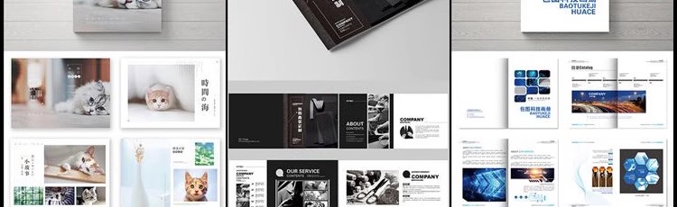图片[3]-企业宣传册产品策划内页画册设计ps排版模板素材 psd/ai/cdr简约-大怪兽分享