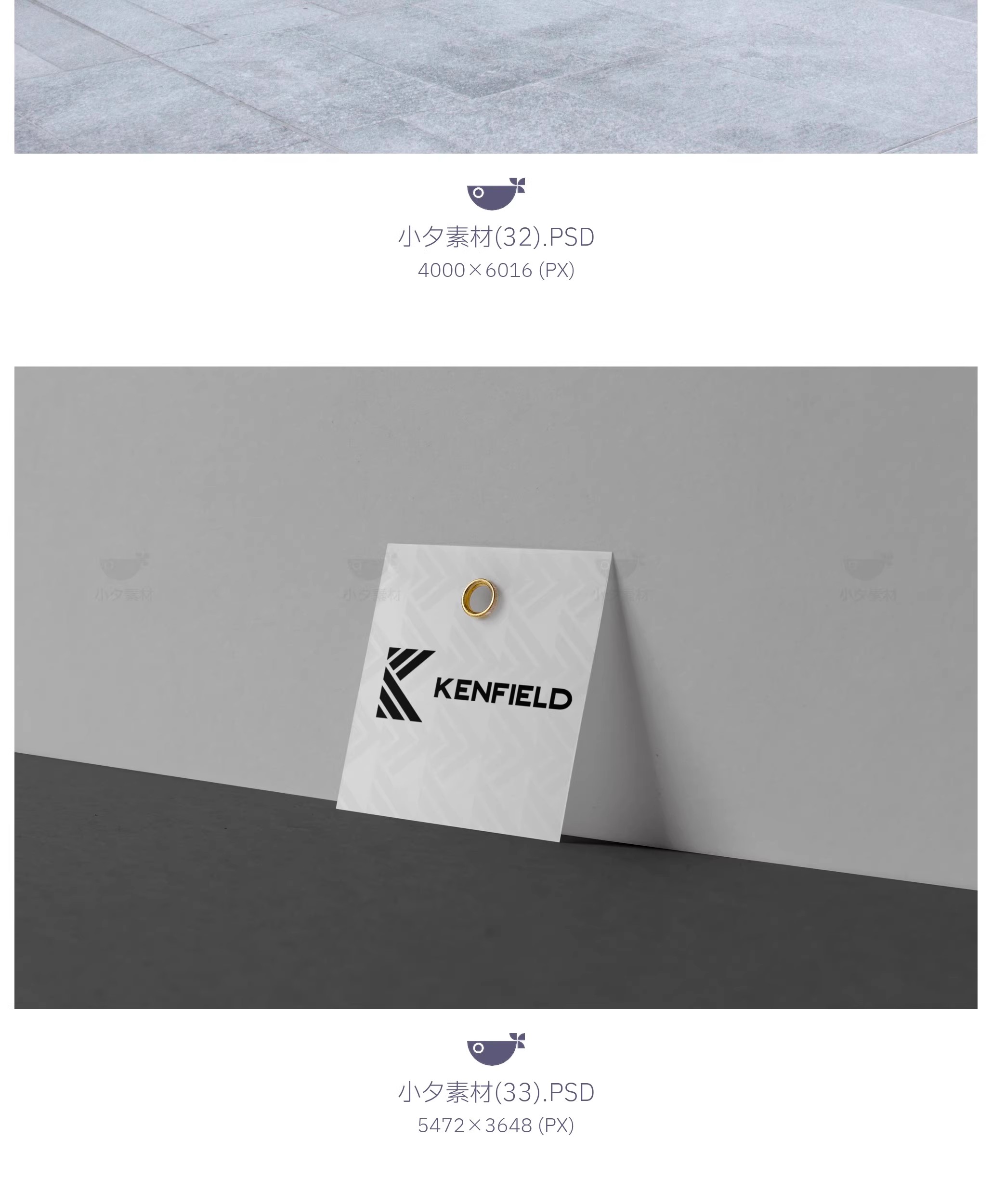 图片[28]-37套 服装品牌吊牌包装品牌全案文创样机模板PSD设计素材-大怪兽分享