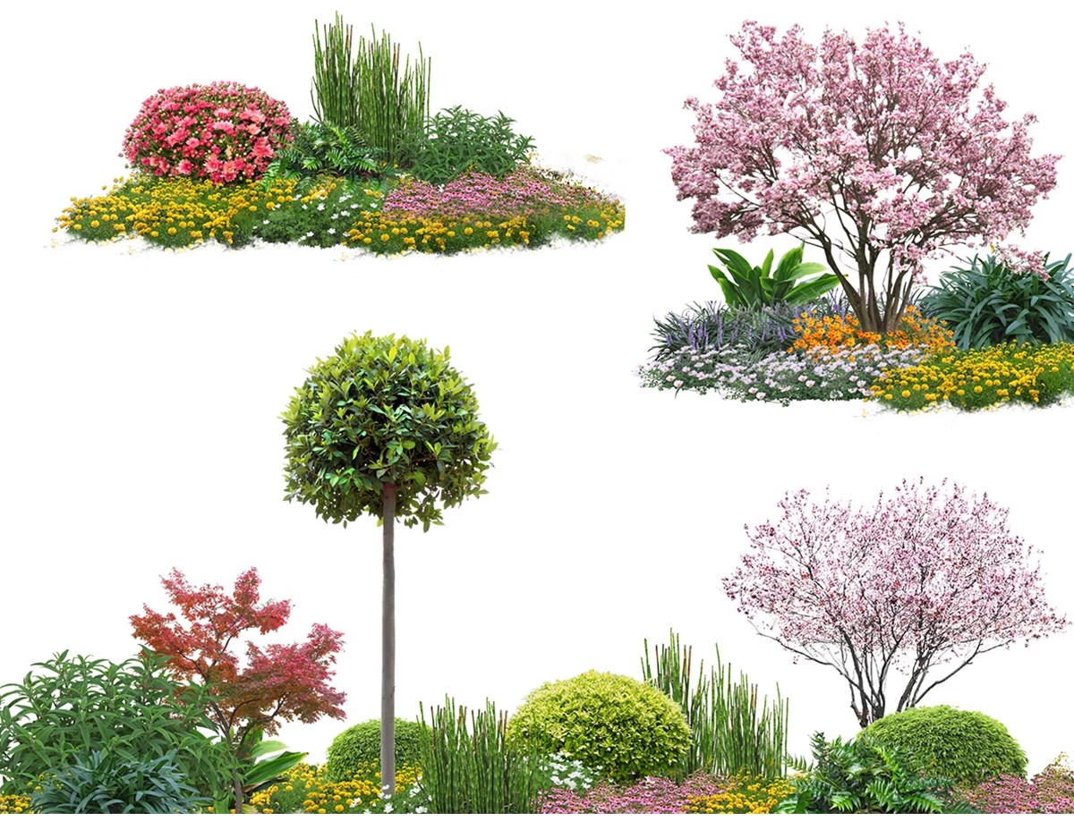 图片[29]-景观园林ps公园花园庭院绿化花境植物组团花镜组合设计psd素材-大怪兽分享