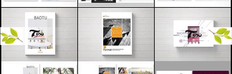 图片[4]-企业宣传册产品策划内页画册设计ps排版模板素材 psd/ai/cdr简约-大怪兽分享