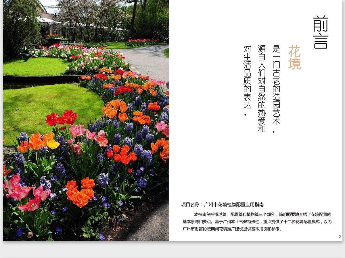 图片[29]-植物花镜搭配美学PPT设计方案文本植被分析景观植物标准化与应用-大怪兽分享