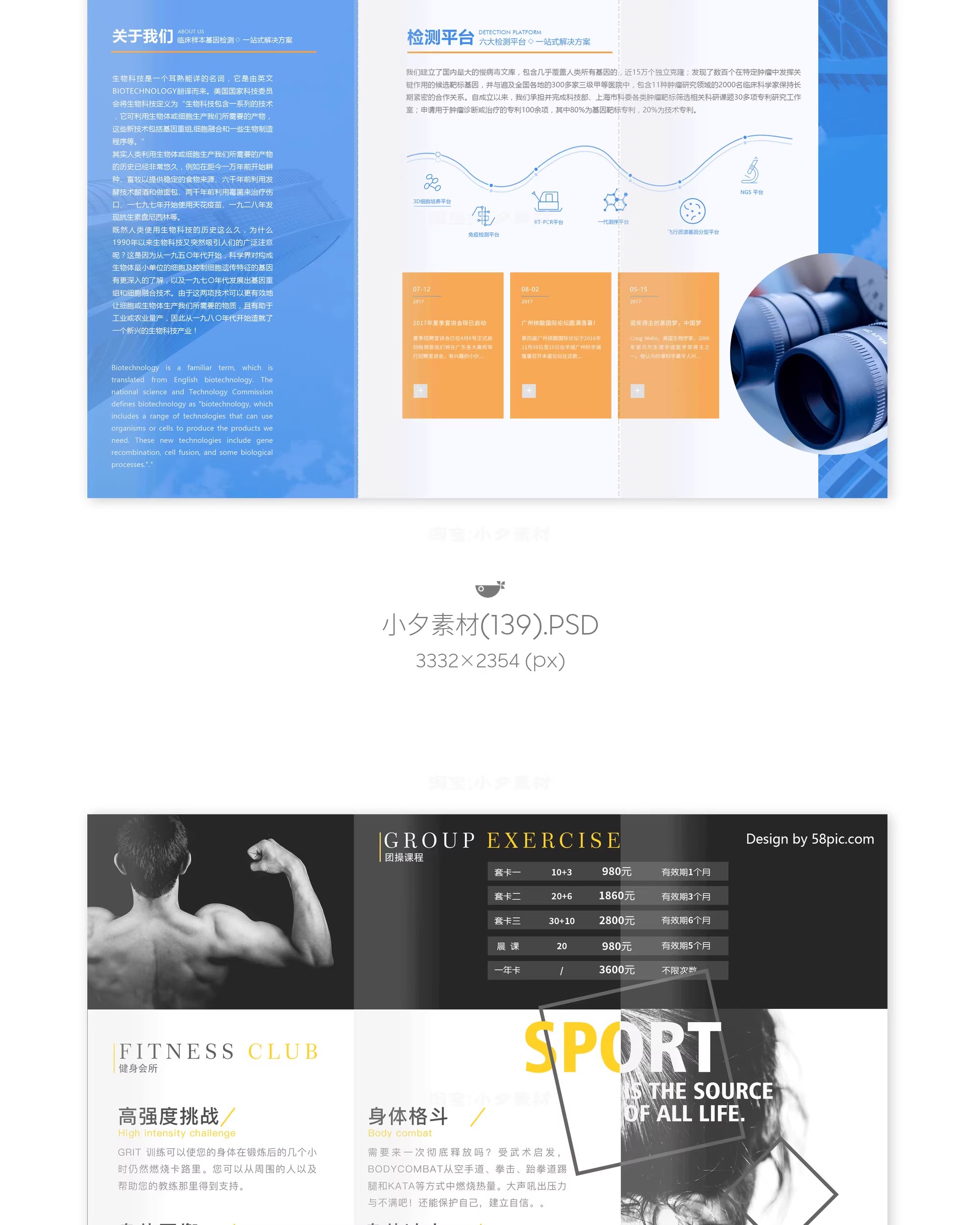 图片[32]-三折页创意高端公司企业DM宣传册画册广告传单PSD设计素材模板-大怪兽分享