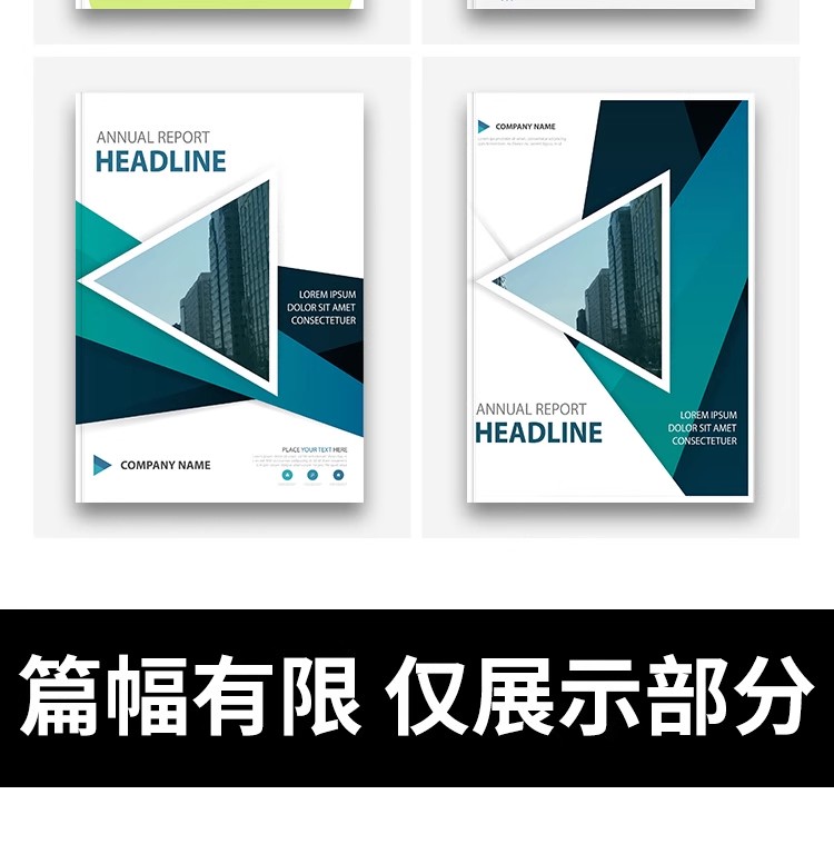 图片[31]-高端简约风几何线条画册封面模板公司商务计划报告册子ai矢量素材-大怪兽分享