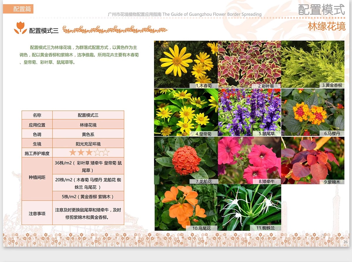 图片[45]-植物花镜搭配美学PPT设计方案文本植被分析景观植物标准化与应用-大怪兽分享