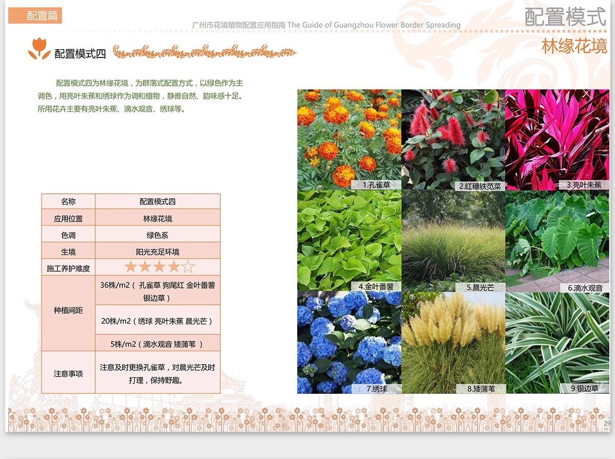 图片[46]-植物花镜搭配美学PPT设计方案文本植被分析景观植物标准化与应用-大怪兽分享