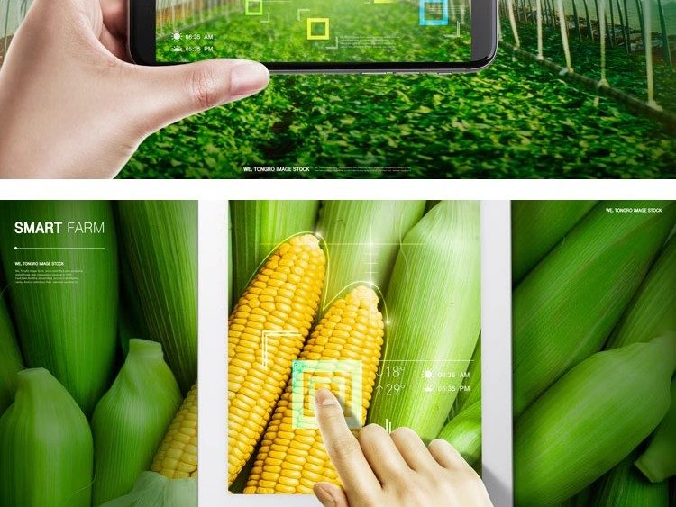 图片[12]-SG-36现代未来科技智能农业绿色水果蔬菜无人机种植PSD设计素材图-大怪兽分享