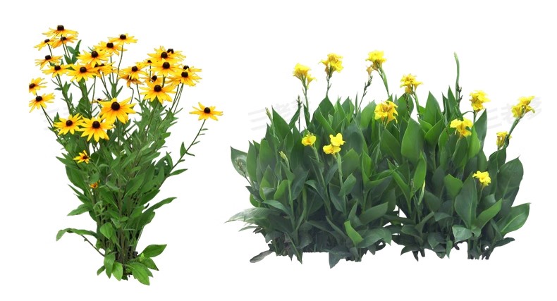 图片[32]-景观园林ps公园花园庭院绿化花境植物组团花镜组合设计psd素材-大怪兽分享