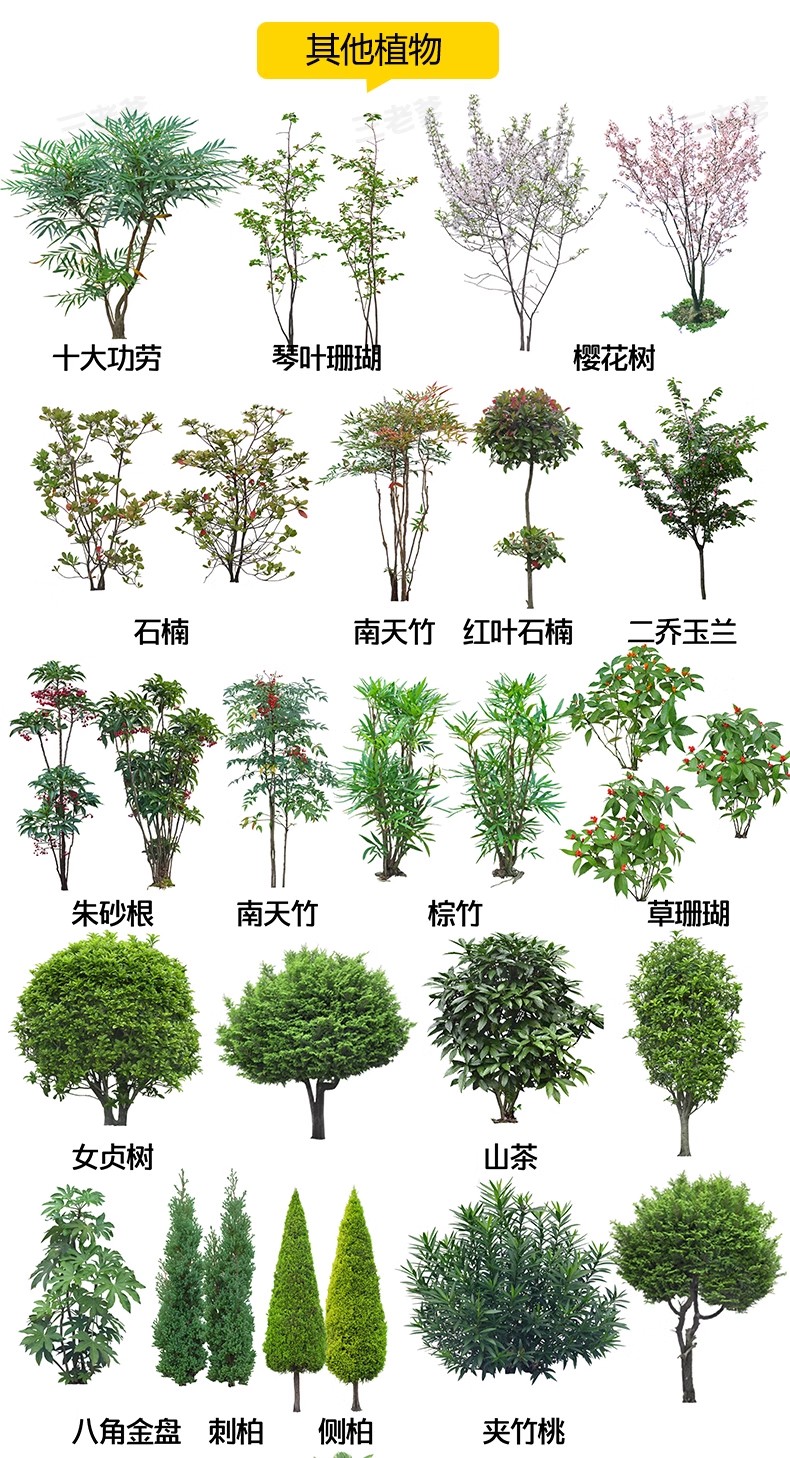 图片[36]-景观园林ps公园花园庭院绿化花境植物组团花镜组合设计psd素材-大怪兽分享