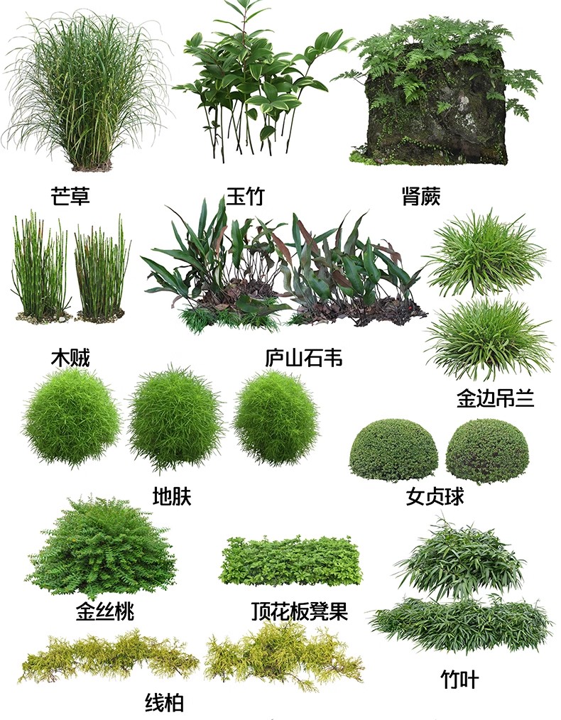 图片[37]-景观园林ps公园花园庭院绿化花境植物组团花镜组合设计psd素材-大怪兽分享