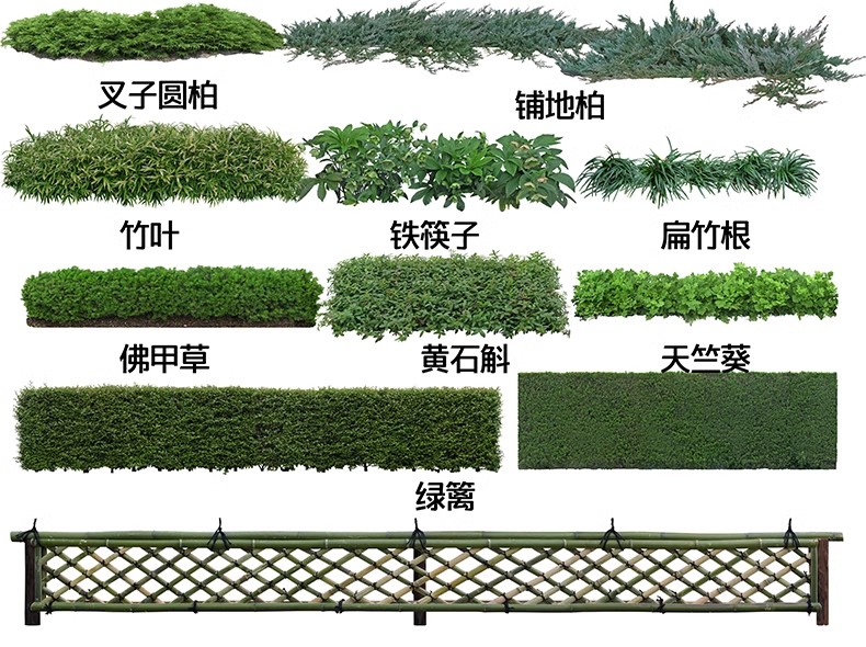 图片[38]-景观园林ps公园花园庭院绿化花境植物组团花镜组合设计psd素材-大怪兽分享