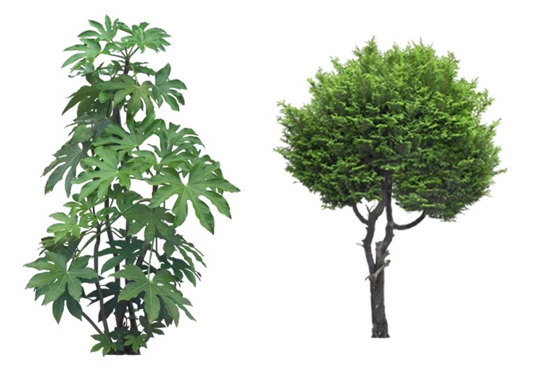图片[40]-景观园林ps公园花园庭院绿化花境植物组团花镜组合设计psd素材-大怪兽分享