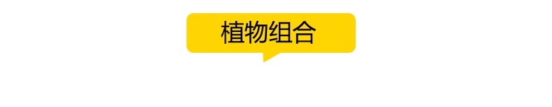 图片[42]-景观园林ps公园花园庭院绿化花境植物组团花镜组合设计psd素材-大怪兽分享