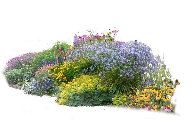图片[43]-景观园林ps公园花园庭院绿化花境植物组团花镜组合设计psd素材-大怪兽分享