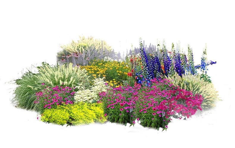 图片[44]-景观园林ps公园花园庭院绿化花境植物组团花镜组合设计psd素材-大怪兽分享