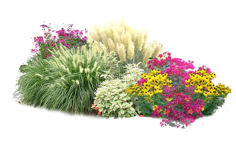 图片[45]-景观园林ps公园花园庭院绿化花境植物组团花镜组合设计psd素材-大怪兽分享