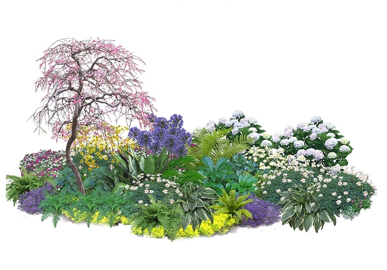 图片[46]-景观园林ps公园花园庭院绿化花境植物组团花镜组合设计psd素材-大怪兽分享