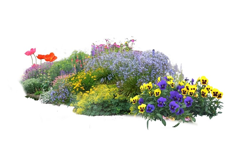 图片[47]-景观园林ps公园花园庭院绿化花境植物组团花镜组合设计psd素材-大怪兽分享
