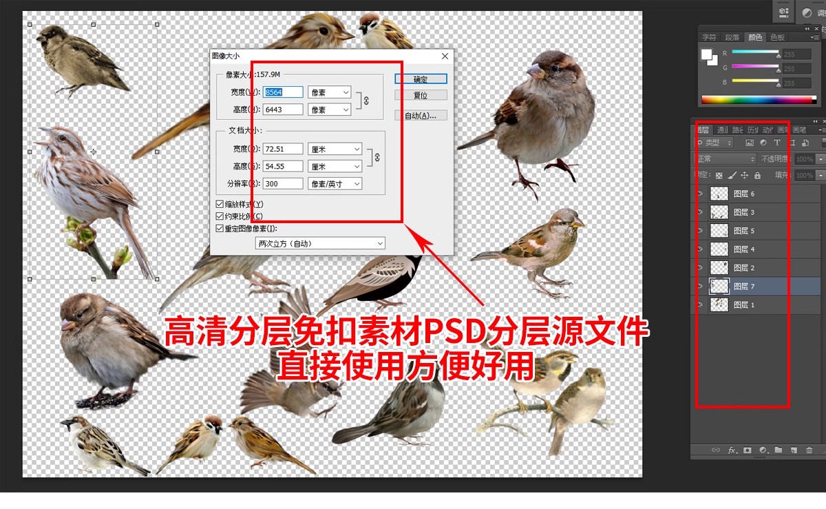 各种鸟类ps素材动物鸟群飞鸟鸽子白鹭飞行姿态效果图PSD免抠笔刷-大怪兽分享