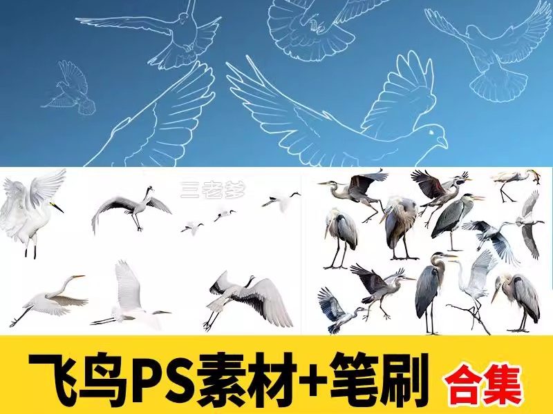 各种鸟类ps素材动物鸟群飞鸟鸽子白鹭飞行姿态效果图PSD免抠笔刷-大怪兽分享