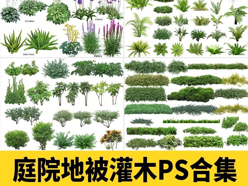 庭院植物灌木地被psd素材 花园玉簪矾根百子莲南天竹蕨苔草ps免扣-大怪兽分享