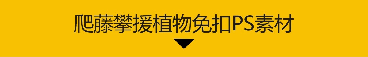 图片[3]-藤蔓爬藤植物爬墙攀援垂钓围墙月季花PS素材蔷薇廊架藤本免抠PSD-大怪兽分享