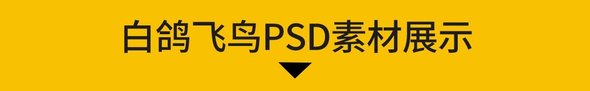图片[4]-各种鸟类ps素材动物鸟群飞鸟鸽子白鹭飞行姿态效果图PSD免抠笔刷-大怪兽分享