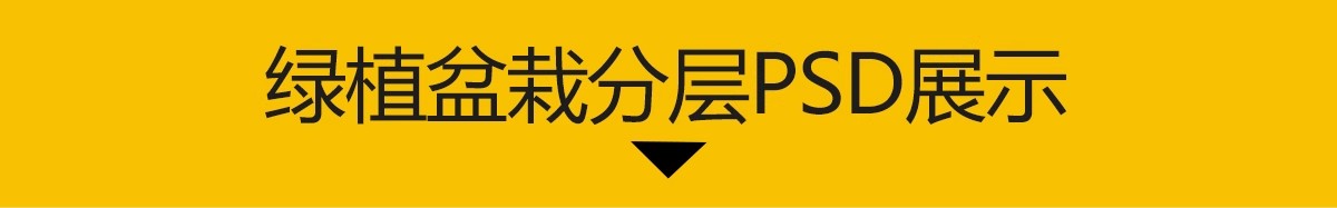图片[3]-室内盆栽绿植花盆植物组合ps素材 现代简约客厅摆件免抠psd免抠图-大怪兽分享