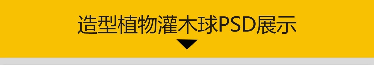 图片[3]-PS景观造型植物灌木球造型树迎客罗汉松桩景效果图png棒棒糖素材-大怪兽分享