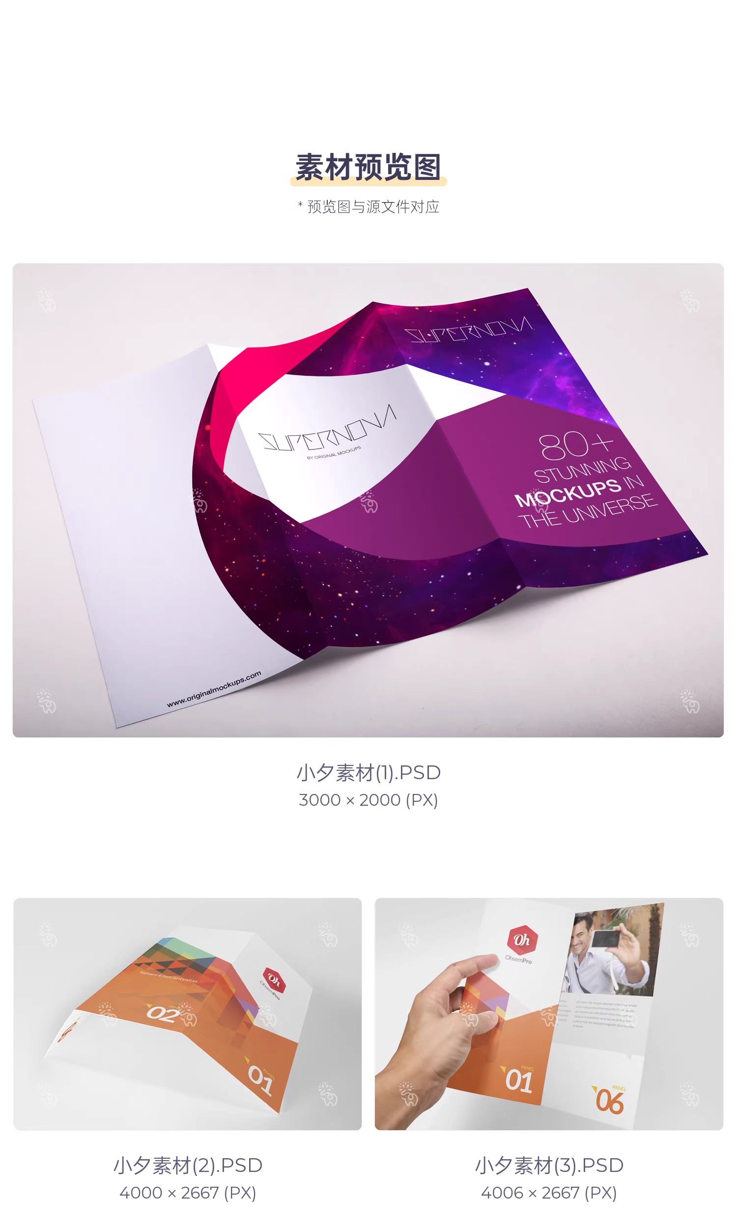 图片[3]-高端品牌对折三折页四折页展示效果图PSD分层智能贴图样机模板-大怪兽分享