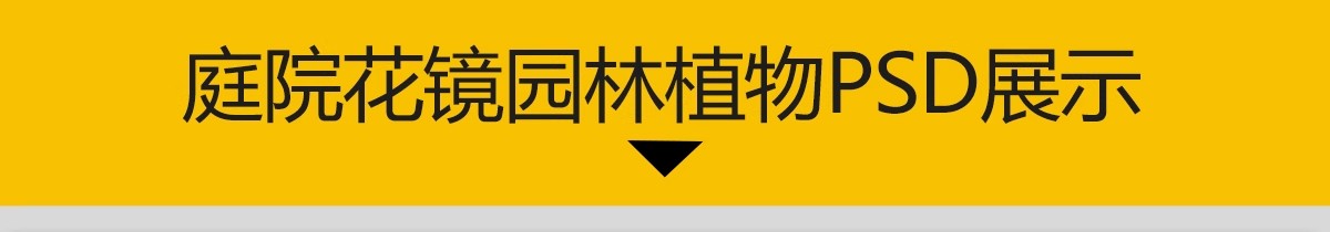 图片[3]-庭院植物灌木地被psd素材 花园玉簪矾根百子莲南天竹蕨苔草ps免扣-大怪兽分享